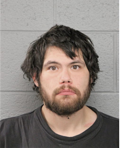 ROBERT D DELACRUZ, Cook County, Illinois