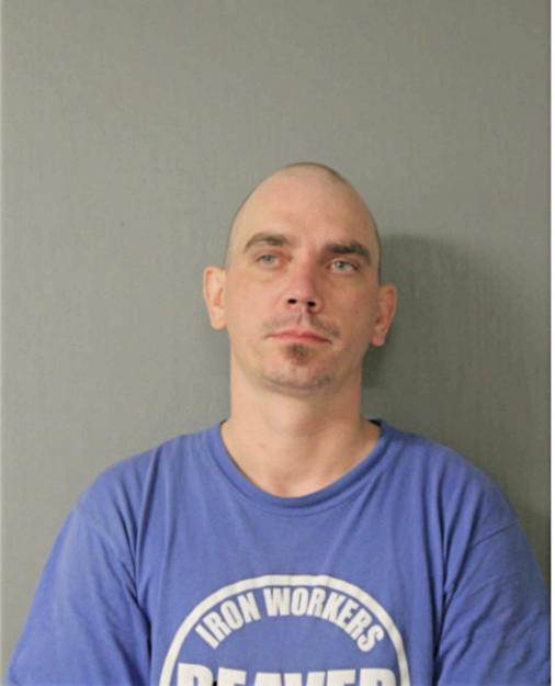 SEAN M DEYOUNG, Cook County, Illinois