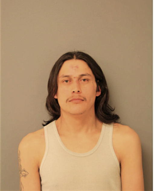 FIDEL FLORES, Cook County, Illinois