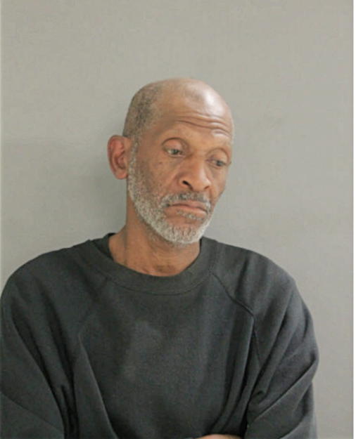 RONNIE C HAYES, Cook County, Illinois