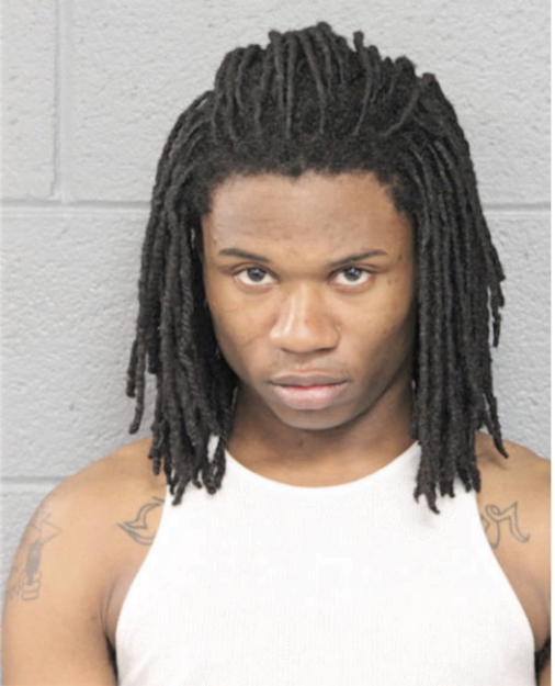 VASHON L JOHNSON, Cook County, Illinois