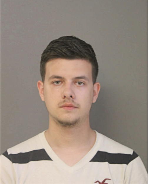 MISHEL LAME, Cook County, Illinois
