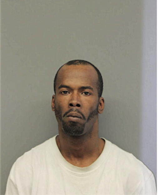 JAMES E LEWIS, Cook County, Illinois