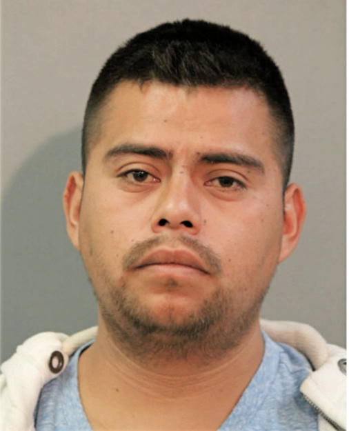 JUAN C MENDOZA-GUILLEN, Cook County, Illinois