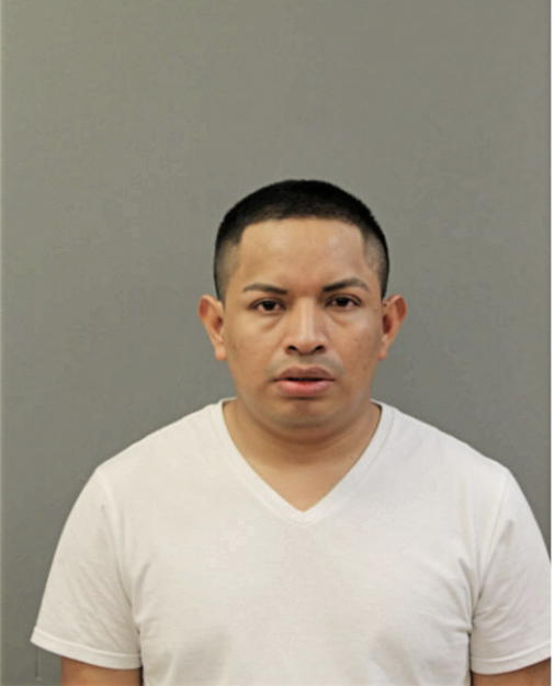 JOSE L NAVAS-MATEO, Cook County, Illinois