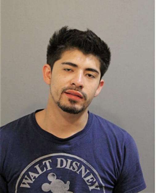 SAUL E PEREZ, Cook County, Illinois