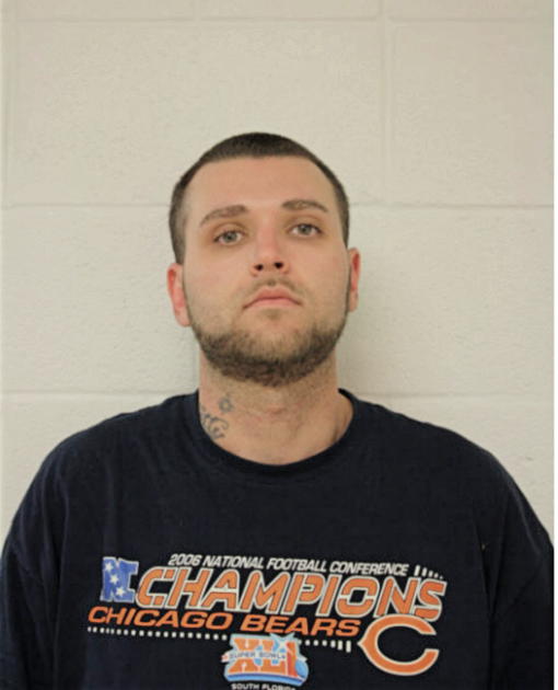 DANIEL R REED, Cook County, Illinois