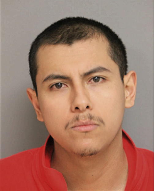 ISRAEL RICO, Cook County, Illinois