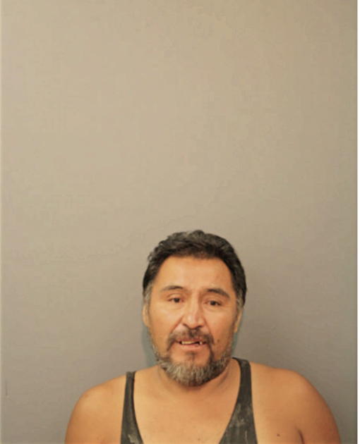 MIGUEL ROLDAN, Cook County, Illinois