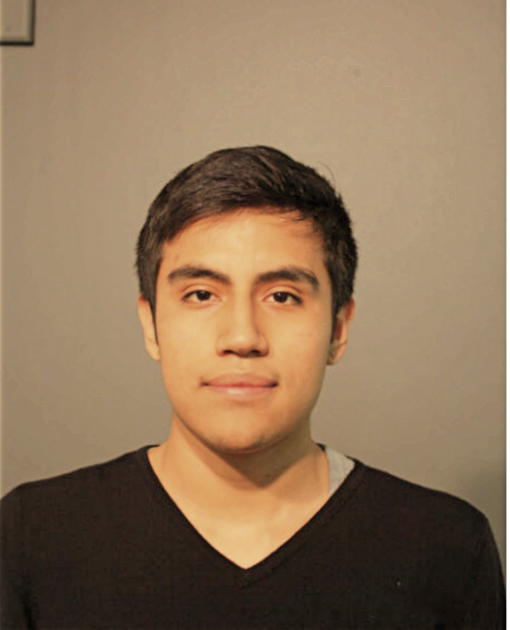 JOSE A SANCHEZ, Cook County, Illinois