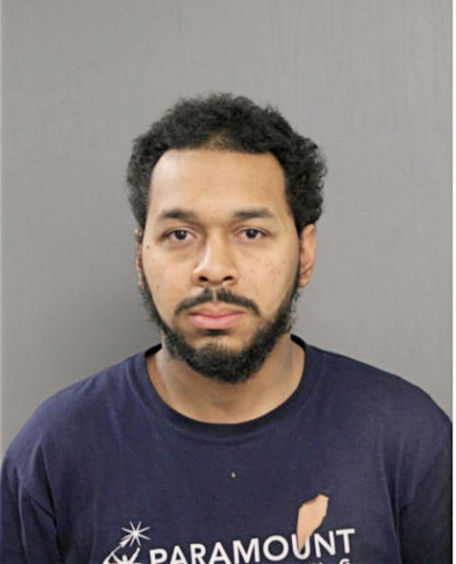 JULIAN SHERMAN, Cook County, Illinois