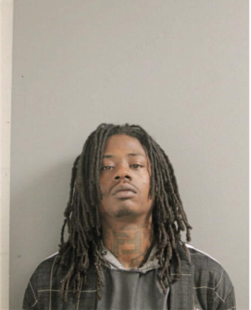 GREGORY L STEWART, Cook County, Illinois