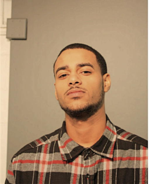MELES T TESFAMARIME, Cook County, Illinois