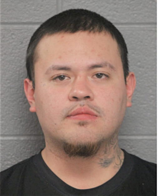 EDGAR UGALDE, Cook County, Illinois