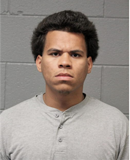 ERICSON L VEGA, Cook County, Illinois