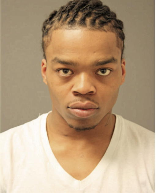 ROBERT M WARREN, Cook County, Illinois