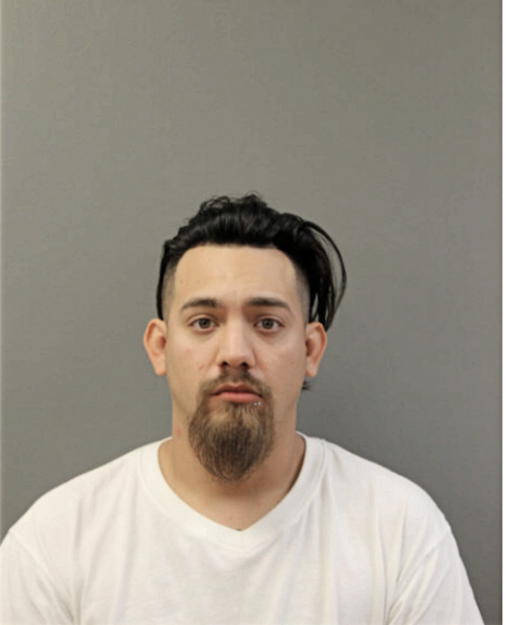 ROBERTO WONG, Cook County, Illinois