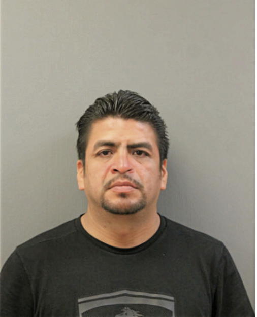JOSE BAHENA, Cook County, Illinois