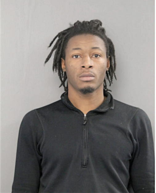 JEROME E BROWN, Cook County, Illinois