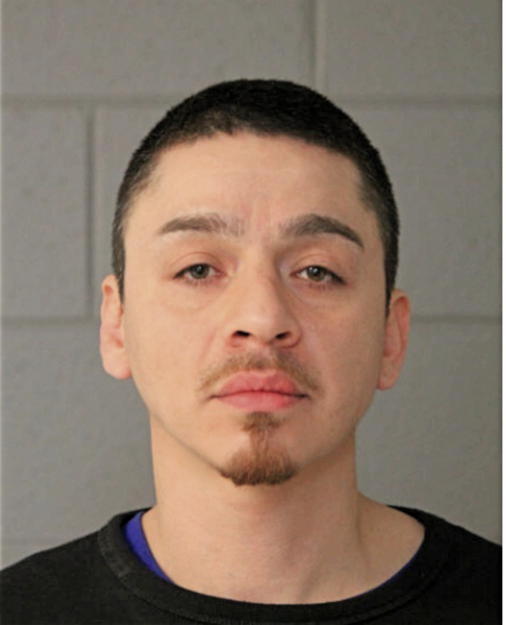 LOUIS DELAROSA, Cook County, Illinois