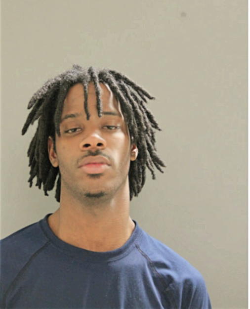 DEMARLO B DULANEY, Cook County, Illinois