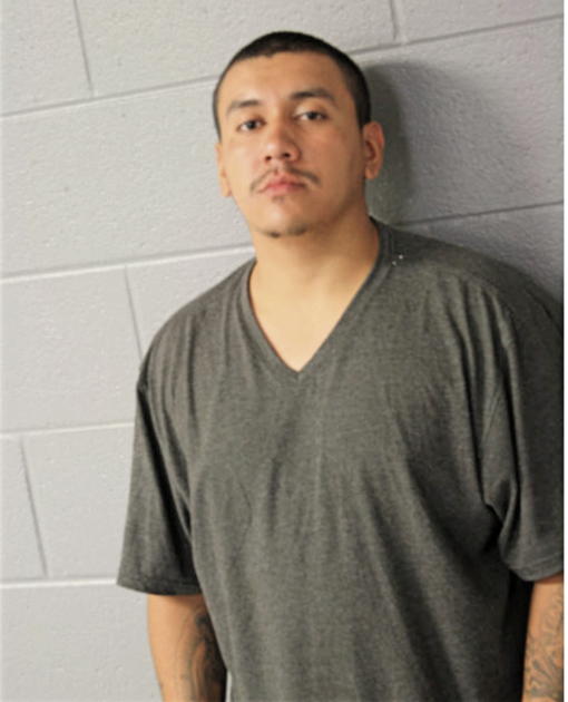 ALEJANDRO HERMOSO, Cook County, Illinois