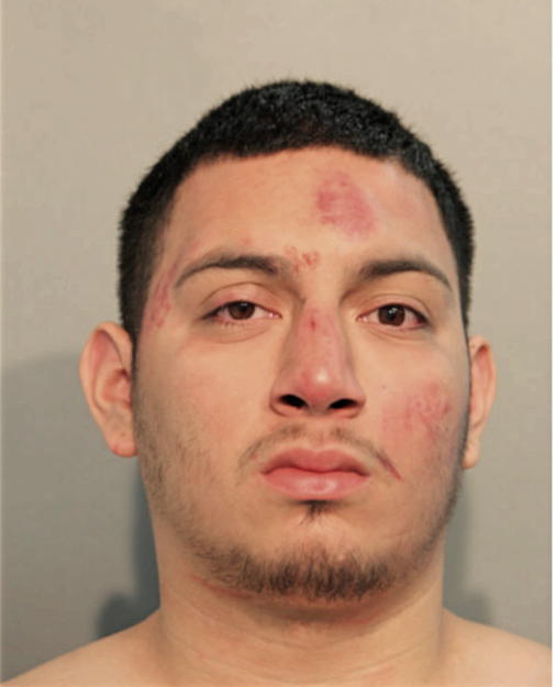 RICARDO C HERNANDEZ, Cook County, Illinois