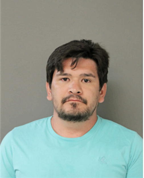 LUIS ONELI0O LETONA-MERIDA, Cook County, Illinois