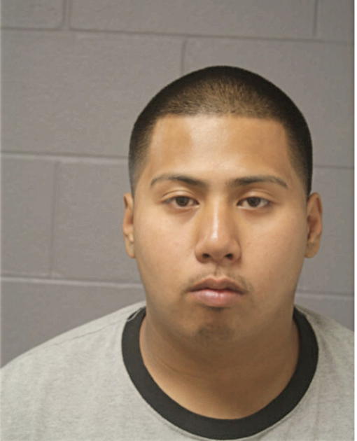 KARLO M MANAN, Cook County, Illinois