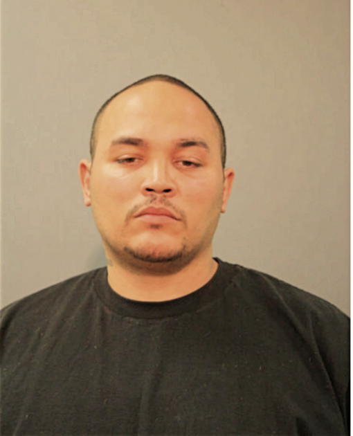 MIGUEL A NAVARRO, Cook County, Illinois