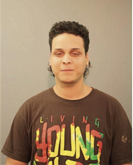PABLO S PIZARRO, Cook County, Illinois