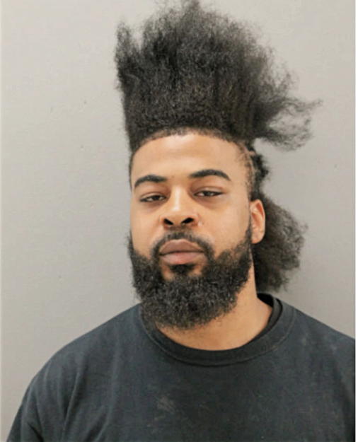 MARCUS J RICE, Cook County, Illinois