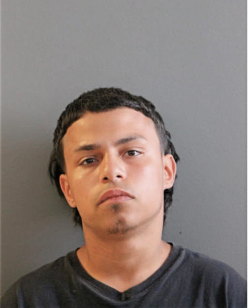 BRANDON L ROSARIO, Cook County, Illinois
