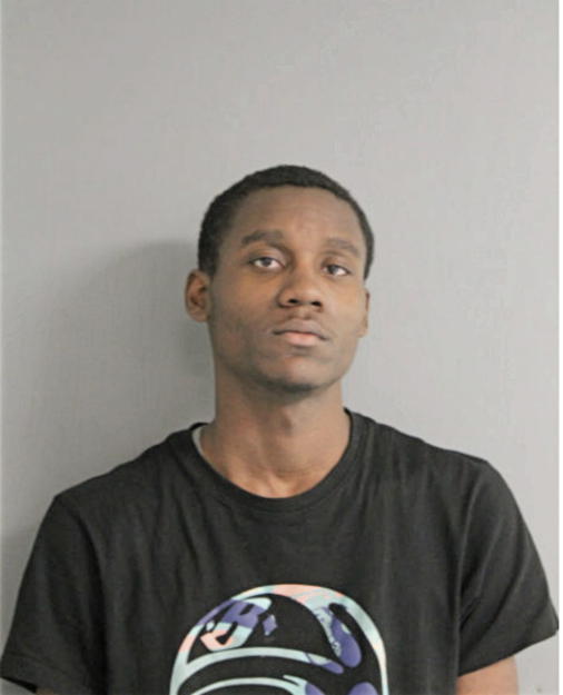 BRANDON R RUSSEAU, Cook County, Illinois