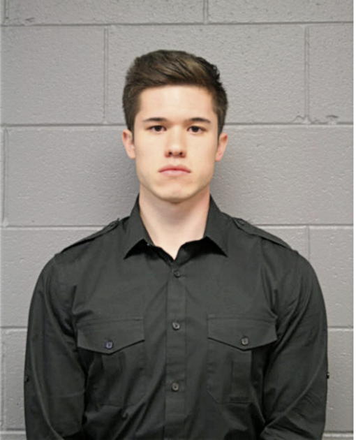 DANIEL J SCHREIBER, Cook County, Illinois