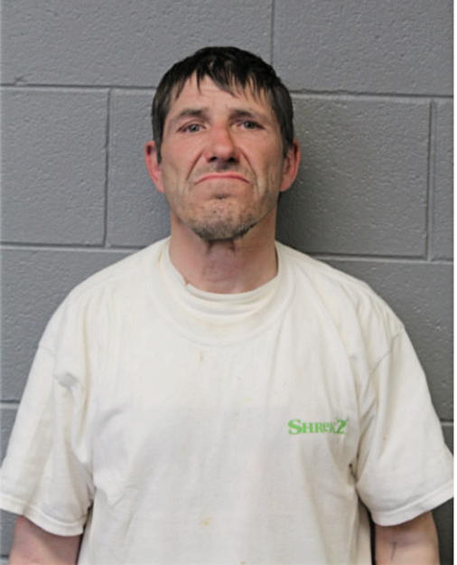 ZINTIS BIRZNIEKS, Cook County, Illinois