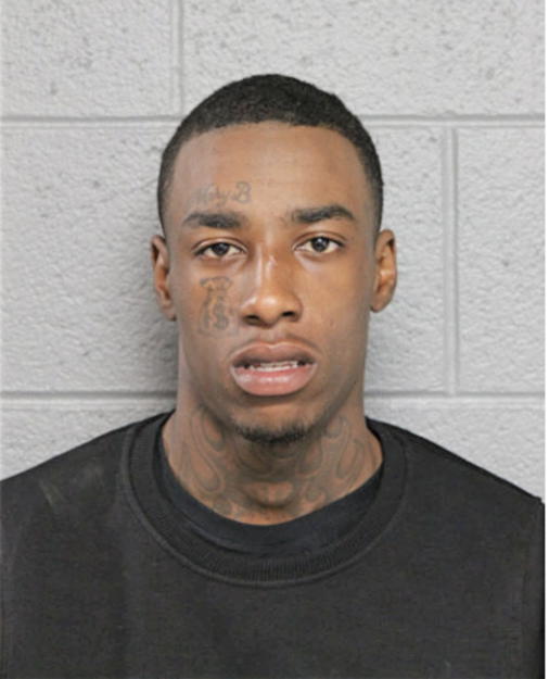 BRANDON BROWN, Cook County, Illinois