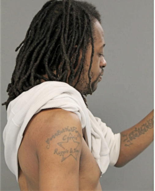 REGINALD J BRYSON, Cook County, Illinois