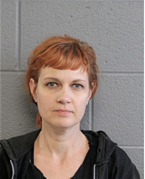 ADESINA G CLAY, Cook County, Illinois