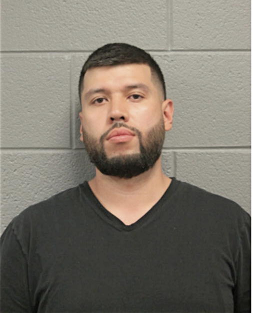 JOSE A DOMINGUEZ, Cook County, Illinois
