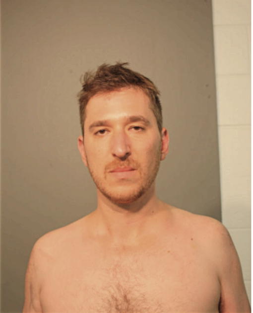 DANIEL P GLUCKMAN, Cook County, Illinois