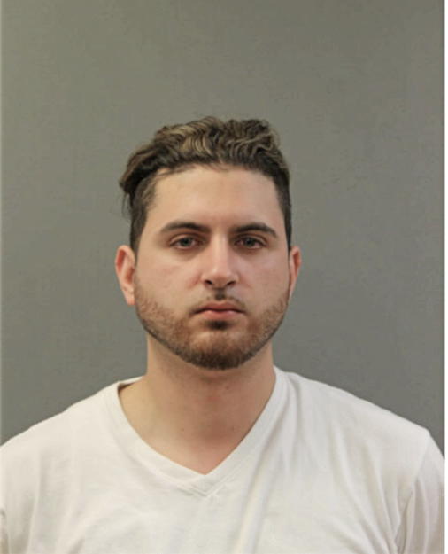 CHRISTIAN J GONZALEZ, Cook County, Illinois