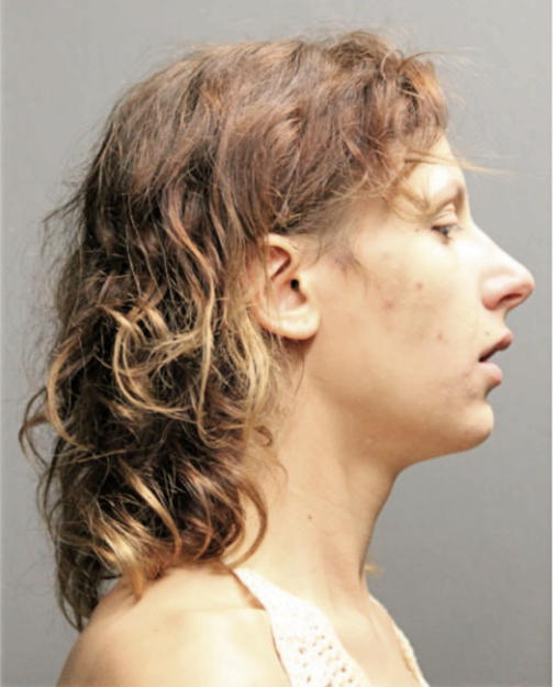 SARAH CHRISTINE HANSEN, Cook County, Illinois