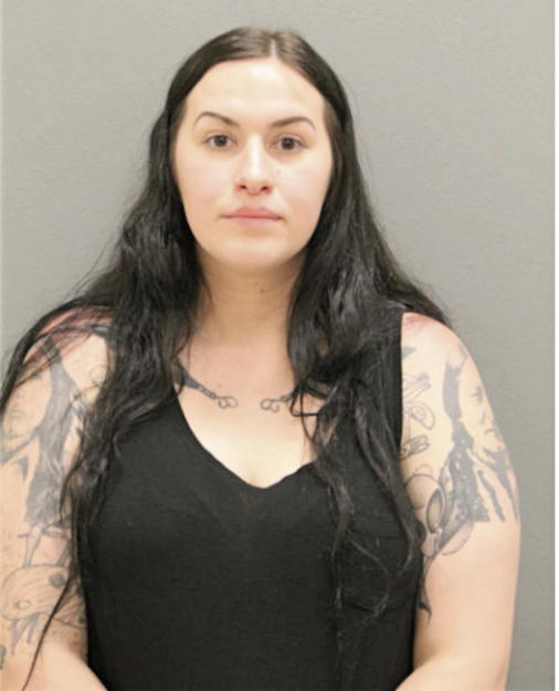 HOLLY M HENNING, Cook County, Illinois
