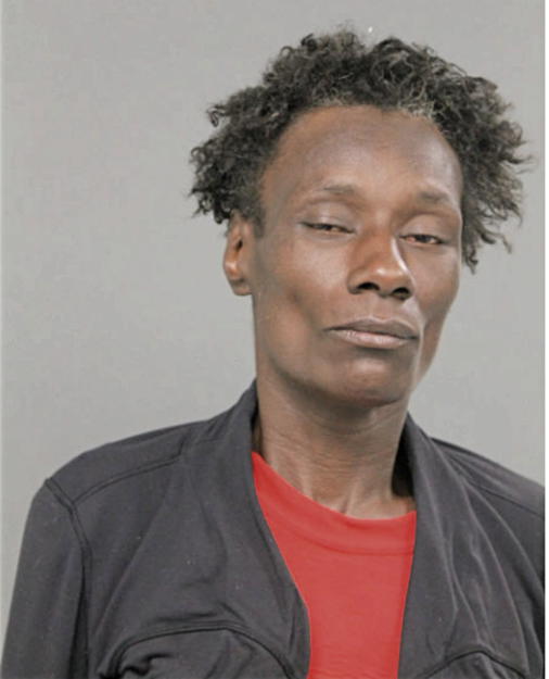 ANITA L HUNT, Cook County, Illinois