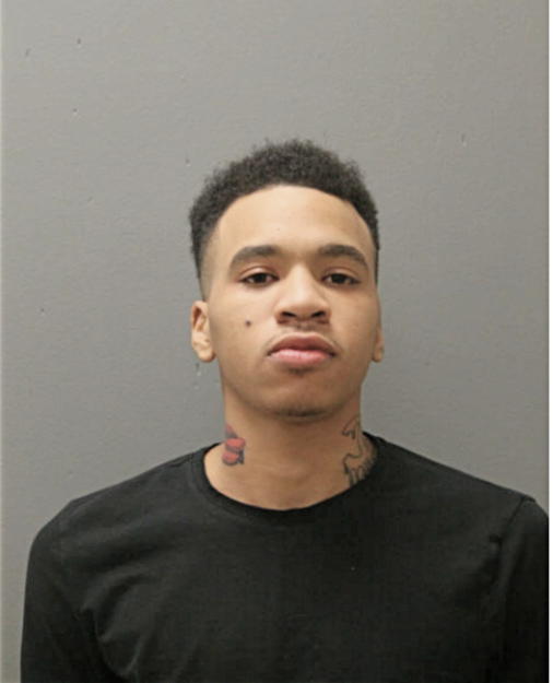 KIRK E JOHNSON, Cook County, Illinois