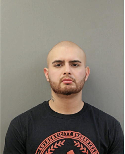 LUIS E LIRA, Cook County, Illinois