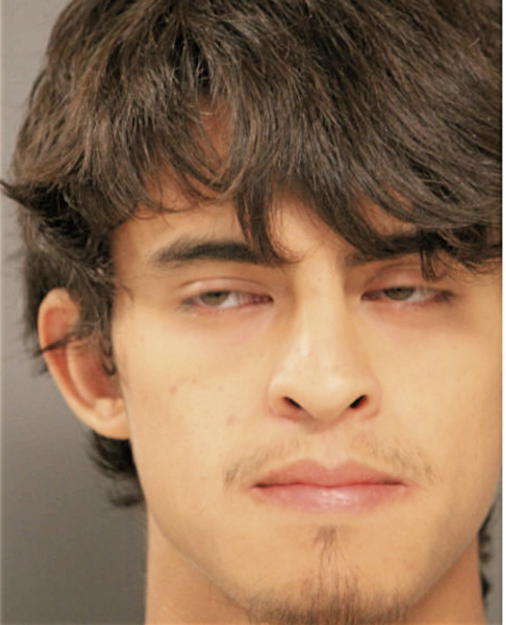 YOVANI P PEREZ, Cook County, Illinois