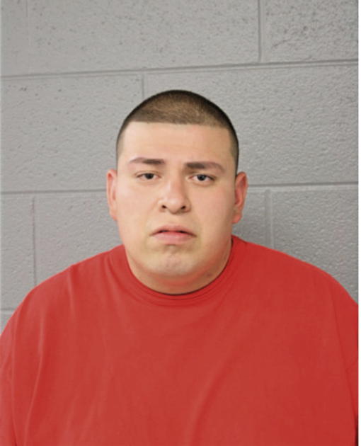 JOEL E RAMOS, Cook County, Illinois
