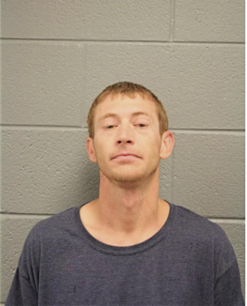 DAMON A REAVES, Cook County, Illinois